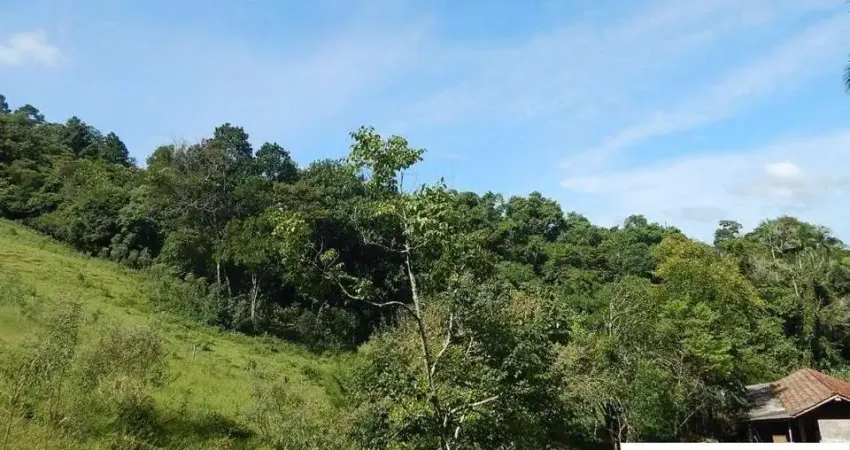 Chácara / sítio à venda no Potecas, São José 