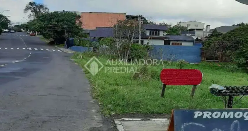 Terreno à venda na Rua Graciano Luiz Silveira, 1, Santa Teresa, São Leopoldo
