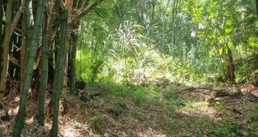 Terreno à venda na Rua Intendente Antônio Damasco, 448, Ratones, Florianópolis