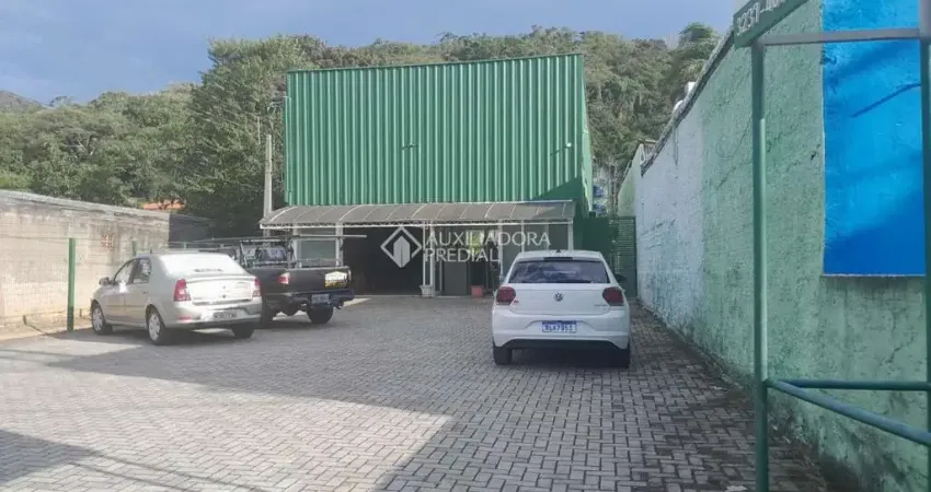 Barracão / Galpão / Depósito à venda na Rodovia Doutor Antônio Luiz Moura Gonzaga, 4559, Rio Tavares, Florianópolis