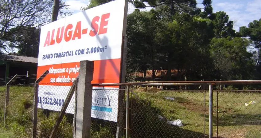 TERRENO COMERCIAL - SANTA FELICIDADE