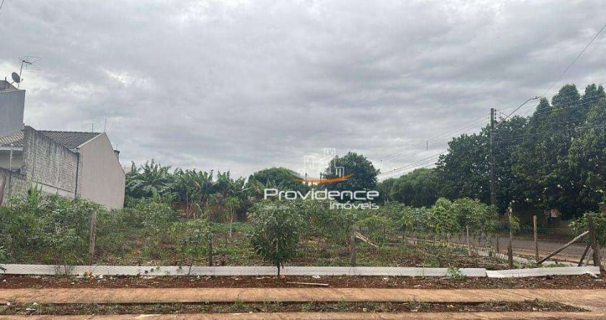 Terreno à venda, 490 m² por R$ 345.000 - Universitário - Cascavel/PR