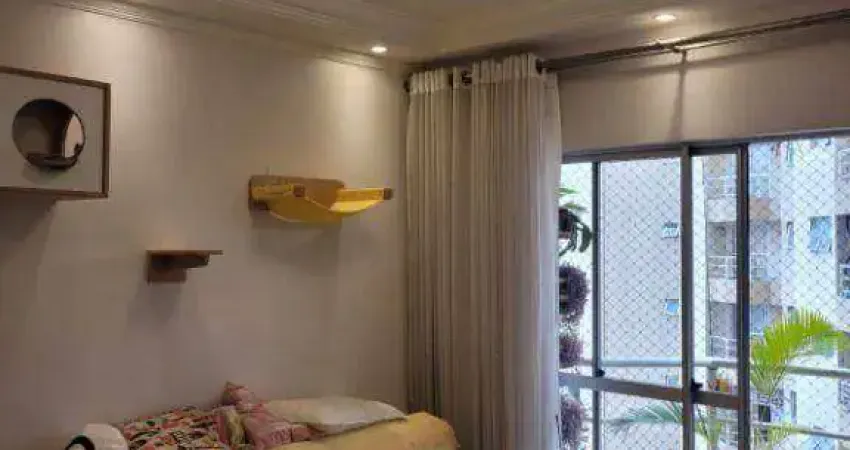 Portal dos bandeirantes - lindo apartamento 2 dormitórios 58m²