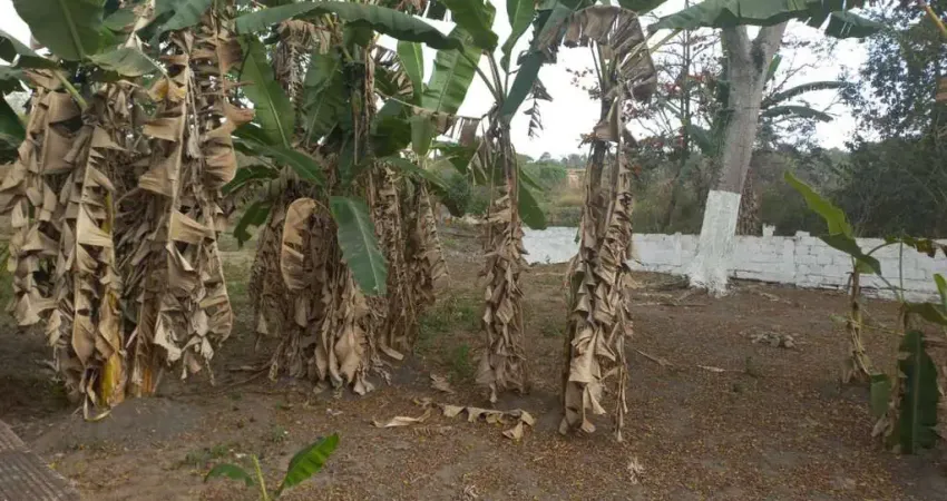 Casa para venda em itaboraí, morada do sol i (itambi), 2 dormitórios, 1 banheiro