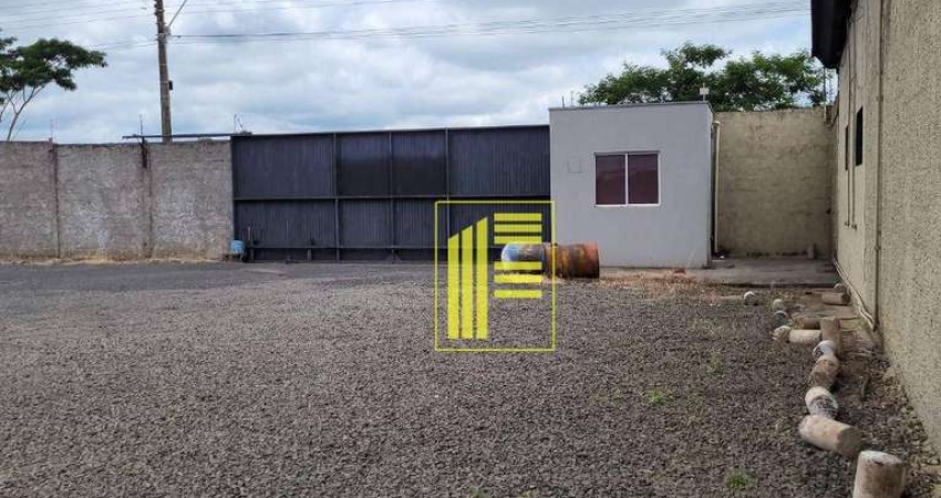 Barracão / Galpão / Depósito com 12 salas para alugar na Avenida Otaviano Fava, São Francisco, São José do Rio Preto