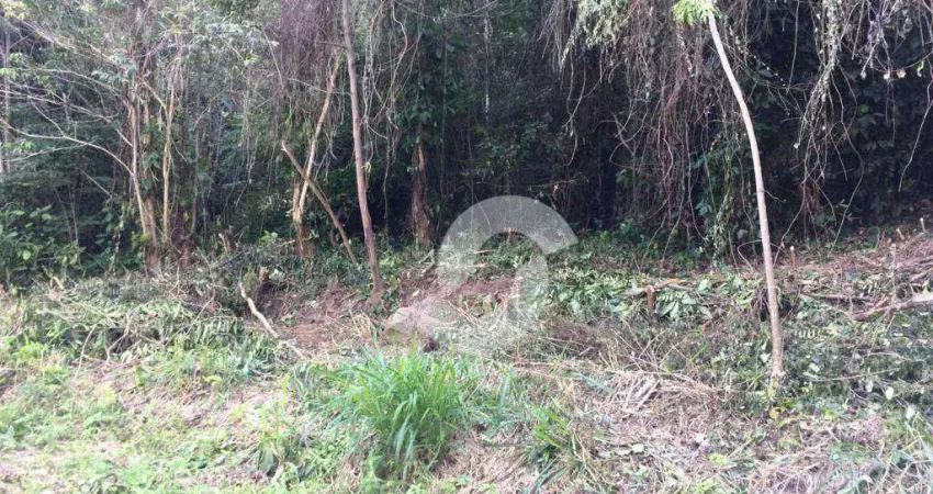 Terreno à venda, 4125 m² por r$ 260.000,00 - itaocaia valley (itaipuaçu) - maricá/rj