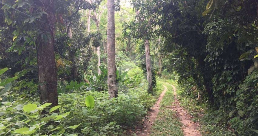 Área à venda, 16000 m² por R$ 2.500.000,00 - Várzea das Moças - Niterói/RJ