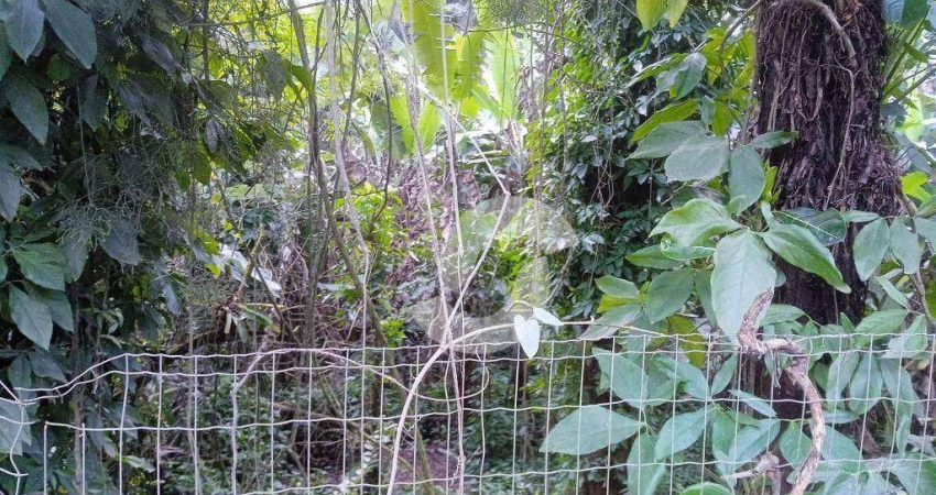 Terreno à venda, 765 m² por R$ 300.000,00 - Engenho do Mato - Niterói/RJ