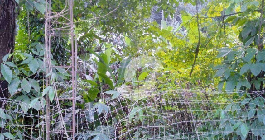 Terreno à venda, 832 m² por R$ 300.000,00 - Engenho do Mato - Niterói/RJ