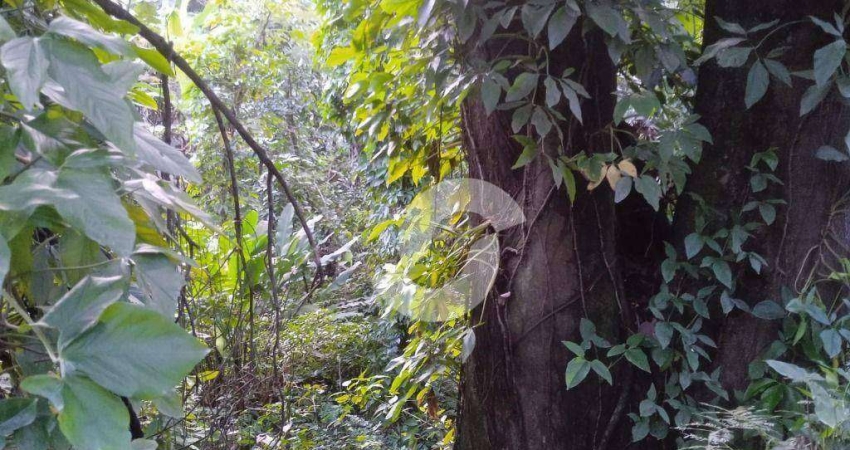 Terreno à venda, 735 m² por R$ 300.000,00 - Engenho do Mato - Niterói/RJ