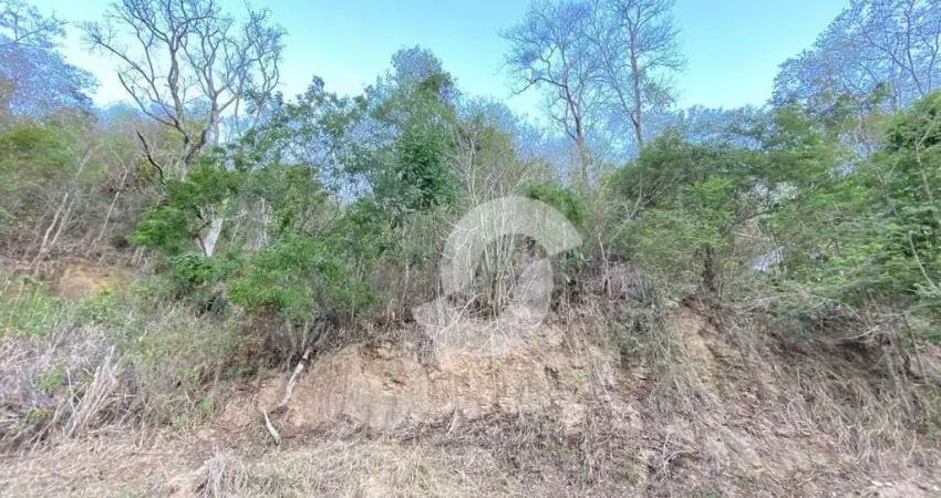 Terreno à venda na Rua Alexandre Brasil de Araújo, 433, Piratininga, Niterói