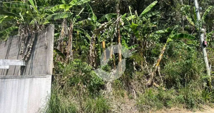 Terreno à venda, 1980 m² por R$ 100.000,00 - Várzea das Moças - Niterói/RJ
