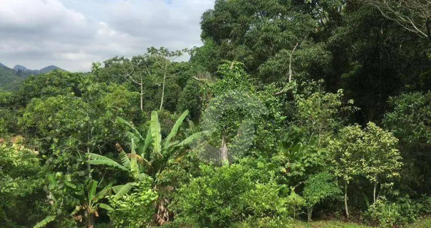 Sítio com excelente área externa, 3000 m², perfeito para construção clinica de repouso/reabilitação, Pousada e Lazer