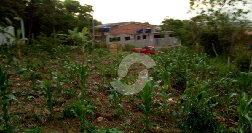 Terreno à venda, 450 m² por R$ 54.000,00 - Praia Rasa - Búzios/RJ