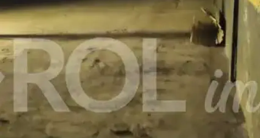 Barracão / Galpão / Depósito com 1 sala para alugar na Rua Conselheiro Nébias, 1072, Campos Eliseos, São Paulo