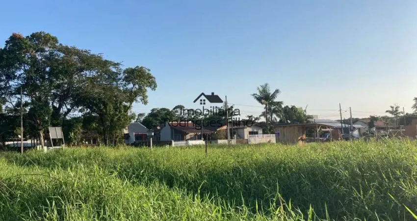 Terreno à venda na Avenida Dom Henrique II, 124, Brandalize, Itapoá