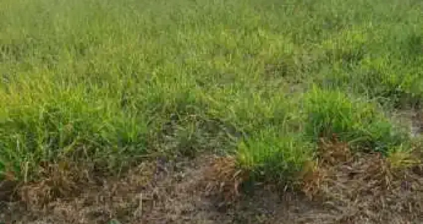 Terreno à venda na Rua Luiz Levorato, Jardim Marabá, Bauru