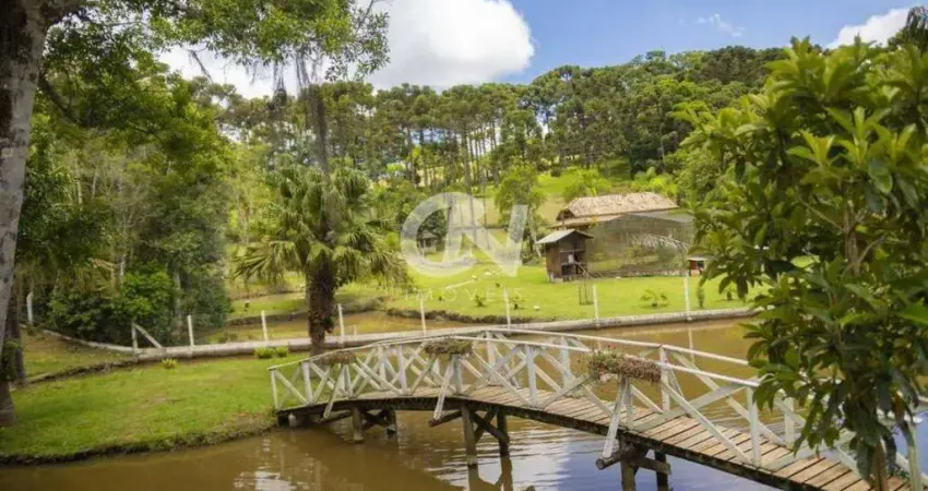 Chácara / sítio com 5 quartos à venda na Avenquinha, Campo Alegre