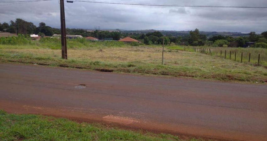 Terreno, 5205 m² - venda por R$ 3.500.000,00 ou aluguel por R$ 5.000,00/mês - Conjunto Vivi Xavier - Londrina/PR