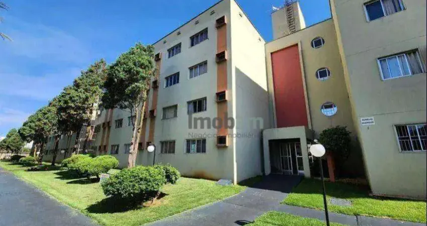 Kitnet com 1 dormitório à venda, 26 m² por r$ 132.500,00 - alto da colina - londrina/pr