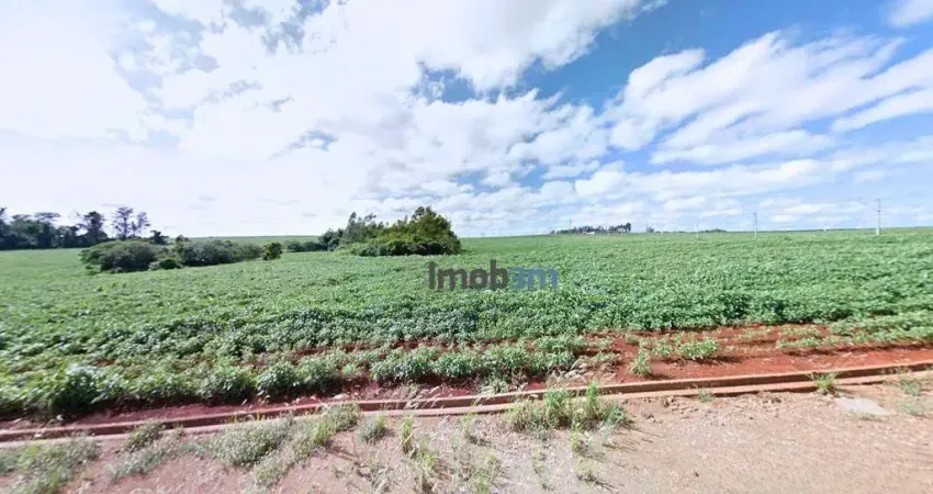 Terreno à venda, 2500 m² por r$ 750.000,00 - perobinha - londrina/pr