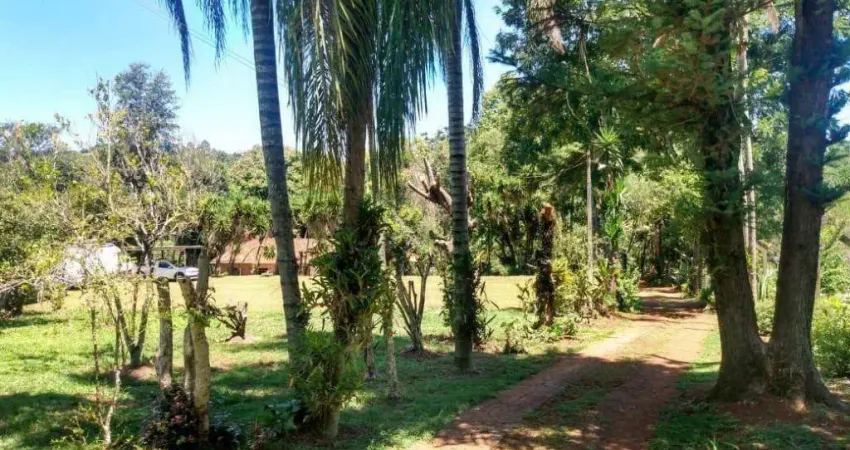 Chácara com 2 dormitórios à venda, 4000 m² por r$ 1.170.000,00 - patrimônio regina - londrina/pr