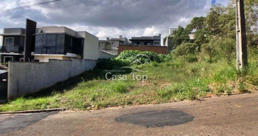 Terreno à venda Vila Estrela