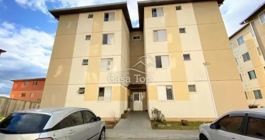 Apartamento para alugar residencial jardim américa ii - vila estrela