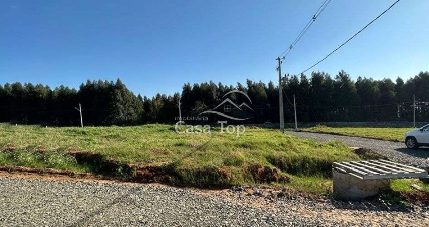 Terreno à venda no Colônia Dona LuÍza, Ponta Grossa 