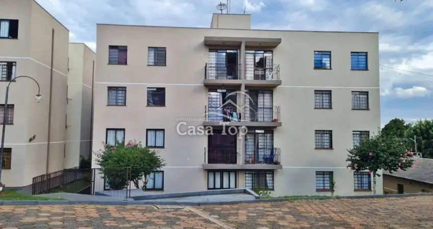 Apartamento mobiliado à venda Condomínio Antares - Colônia Dona Luiza