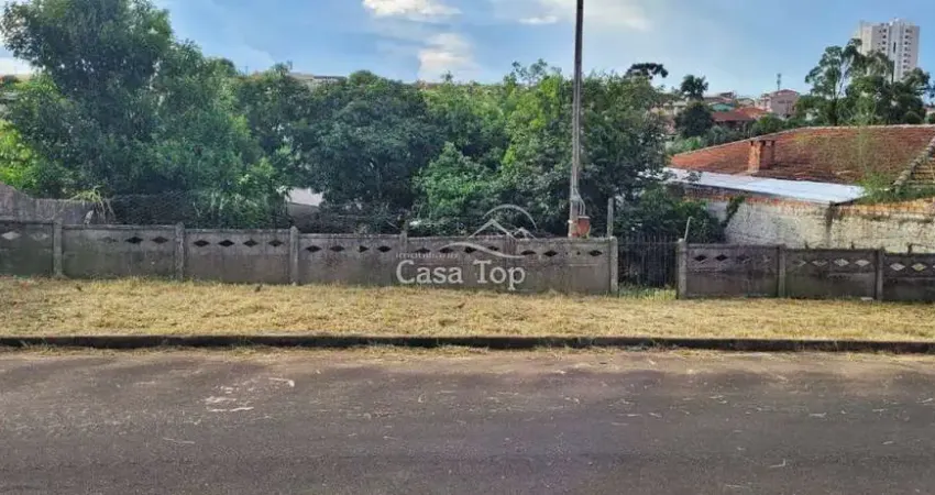 Terreno à venda no Nova Rússia, Ponta Grossa 