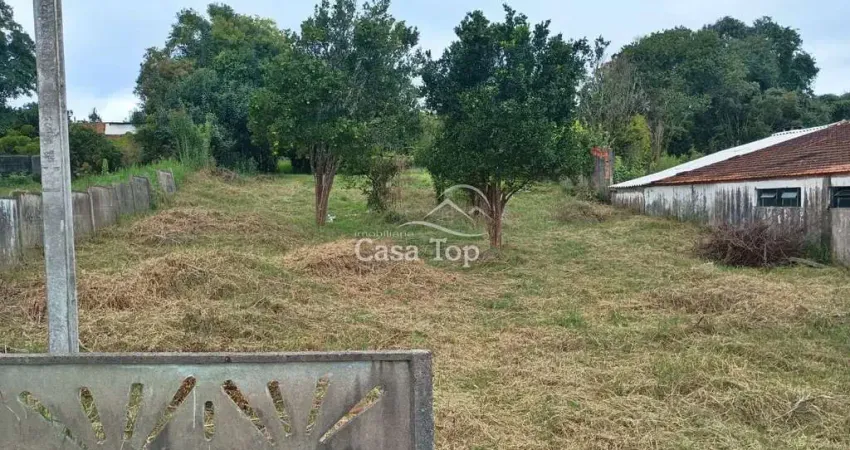 Terreno à venda Vila São João - Irati
