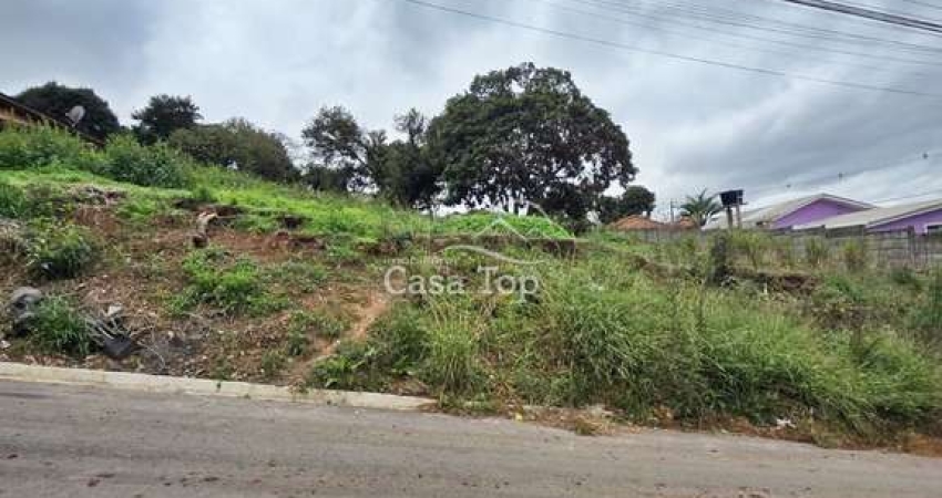 Terreno à venda no Uvaranas, Ponta Grossa 