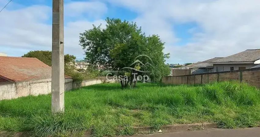 Terreno à venda no Colônia Dona LuÍza, Ponta Grossa