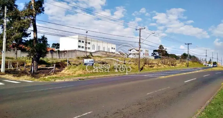 Terreno comercial para alugar no Jardim Carvalho, Ponta Grossa 