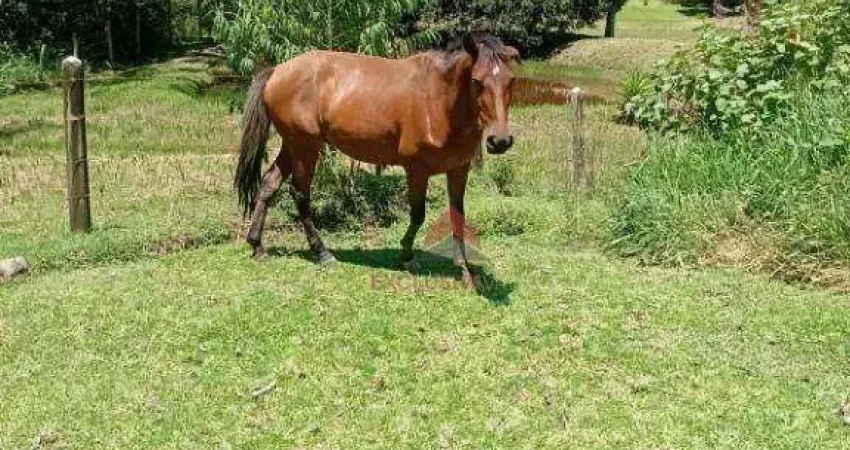Chácara com 2 dormitórios à venda, 18000 m² por R$ 950.000,00 - Cachoeira Grande - Lagoinha/SP