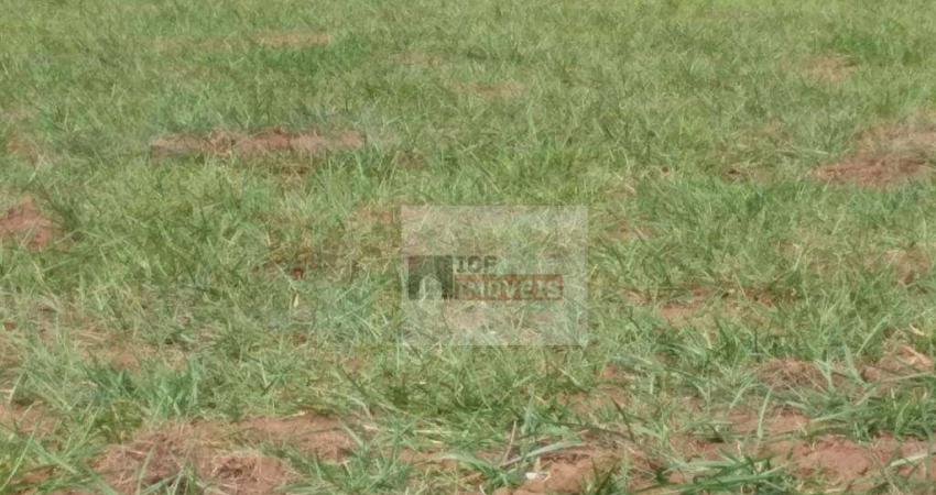 Terreno à venda na Avenida Rogério Zanaga de Camargo Neves, Loteamento Residencial e Comercial Bairro Pacaembu, Americana
