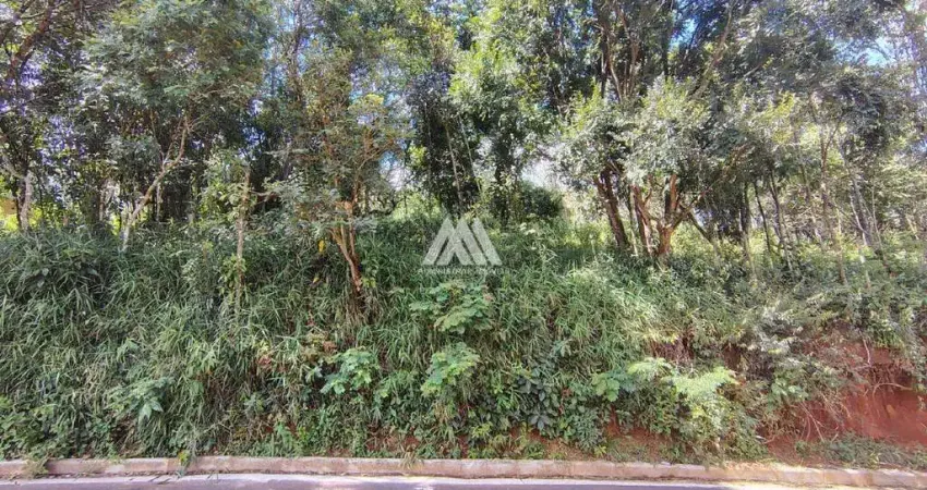 Vendo chácara em Itatiaiuçu de 1000m² excelente localização.