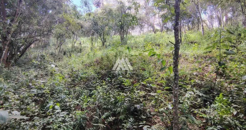 Vendo chácara em Itatiaiuçu de 1000m² excelente localização.
