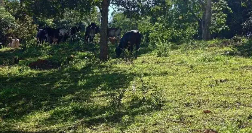 Terreno á venda de 25.000m² com topografia á venda em igarapé mg!