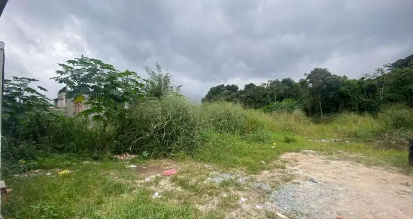 Área à venda, 8233 m² por R$ 14.821.110,00 - Vila Tamoios - Bertioga/SP