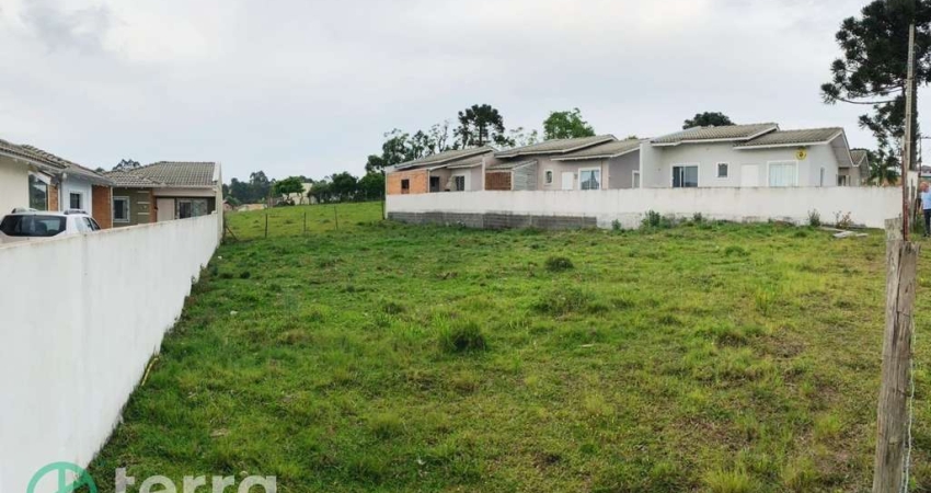 Terreno à venda no Tributo, Lages 