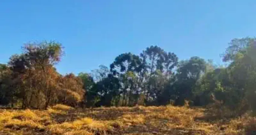 Lindos lotes para realizar o seus sonhos no interior!