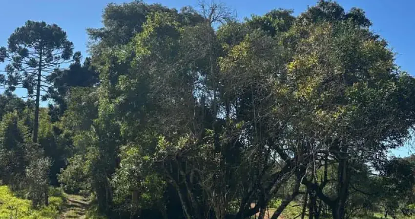 Lindo lote em condomínio fechado no interior de São Paulo para você realizar o seu sonho no interior