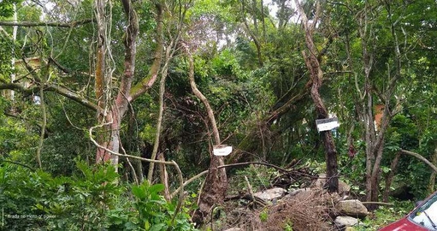 Terreno - Praia da Solidão - Florianópolis - SC