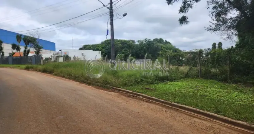 Terreno comercial à venda na Rua Samuel da Rocha Coelho, 399, Cidade Industrial, Curitiba