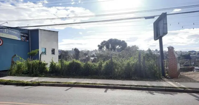 Terreno comercial para alugar na Rua Mato Grosso, S_N, Ferraria, Campo Largo