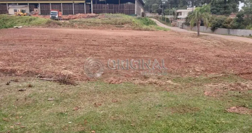 Terreno comercial para alugar na Rua Pedro Pilato, 1655, Umbará, Curitiba