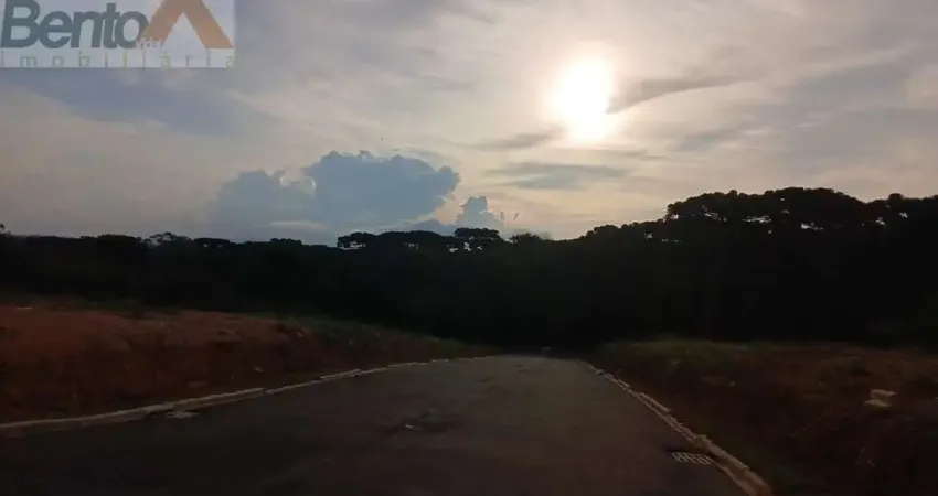 Terreno em Loteamento em Jardim das Palmeiras, Campo Largo/PR
