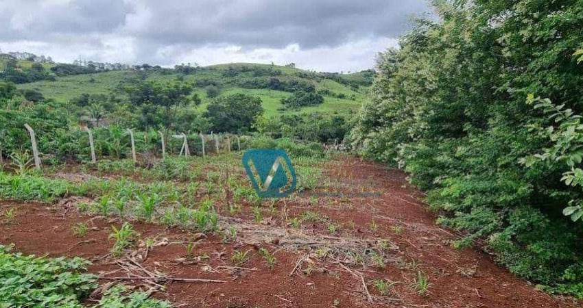 Terreno à venda, 1200 m² por R$ 95.000,00 - Limoeiro - Londrina/PR